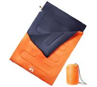 Sac de Couchage Double avec Oreillers Adultes Camping Voyage 3-4 Saisons vidaXL
