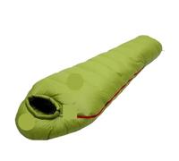 Sac de Couchage for Adulte rempli Duvet d'oie Blanc Chaud, adapté à l'hiver, Thermique, 4 Types d'épaisseur, Voyage Camping pour Camping(Green,1450g)