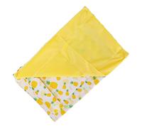 Sac de Couchage pour Reptiles, Lit Dragon Barbu Doux et Chaud avec Oreiller, Confort Pratique pour Petits Animaux de Compagnie, Toutes Saisons (Ananas + Quilt Jaune)
