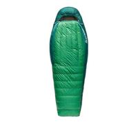 Sac de couchage SEA TO SUMMIT Ascent -9C/15F Down Sleeping Bag Regular TU