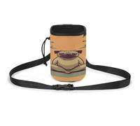 Sac de dressage pour animal de compagnie, idéal pour les promenades et le dressage du chien