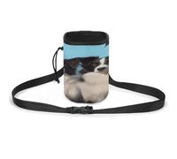 Sac de dressage pour animal de compagnie, sac de dressage élégant pour chien, léger et spacieux