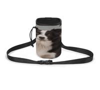 Sac de dressage pour animal de compagnie, sac de dressage élégant pour chien, léger et spacieux