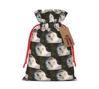 Sac de Noël avec cordon de serrage et étiquette en papier kraft Motif hibou enneigé 12 x 17 cm