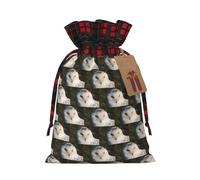 Sac de Noël avec cordon de serrage et étiquette en papier kraft Motif hibou enneigé 12 x 17 cm