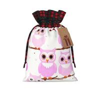 Sac de Noël avec cordon de serrage imprimé hibou mignon 21,1 x 30 cm