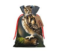 Sac de Noël avec cordon de serrage - Motif chouettes - Marron - 12 x 17 cm