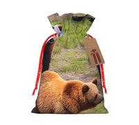 Sac de Noël avec imprimé ours colorés avec cordon de serrage, 12 x 17 cm pour emballage cadeau de fête de Noël ou d'anniversaire