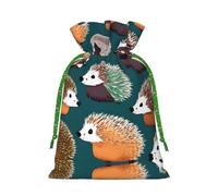 Sac de Noël réutilisable avec cordon de serrage Motif hérissons