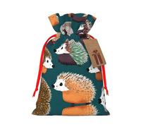 Sac de Noël réutilisable avec cordon de serrage Motif hérissons