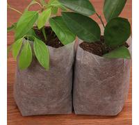 Sac De Pépinière En Tissu Non Tissé, 100 Pièces, Résistant À La Corrosion Dégradable