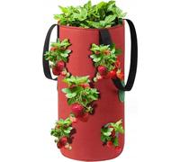 SAC DE PETITS LÉGUMES Tomates LÉGUMES STEMBLOC 35cm