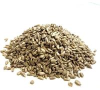 Sac de recharge de 3 litres de graines de tournesol pour oiseaux sauvages (poids 1,8 kg/env. 3 l) 3 l