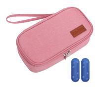 Sac de refroidisseur de lait maternel avec 2 glacière Isulatumer Oxford tissu matermoul refroidisseur avec cordon fermeture à glissière imperméable 8.3x4.3x2.6 pouce Portable Sac portabl