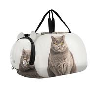 Sac de sport amusant pour garçons avec imprimé Pitbull rire, Imprimé chat britannique obèse à poil court, Classique