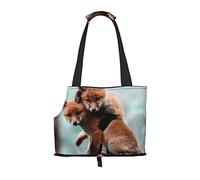 Sac de transport pliable pour chat et chien, sac fourre-tout imperméable et pliable pour petits chiens, sac de transport de voyage respirant avec crochet de sécurité et fenêtre de visualisation (34 x