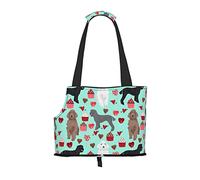 Sac de transport pliable pour chat et chien, sac fourre-tout imperméable et pliable pour petits chiens, sac de transport de voyage respirant avec crochet de sécurité et fenêtre de visualisation (34 x