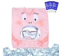 Sac de transport pour chat, valise de transport félin avec paquet de glace intégré | Ventilé rafraîchissant portable pour transport en vélo, avion, randonnée, extérieur, voiture, intérieur