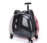 Sac de transport transparent à bulles pour animaux de compagnie avec roues et poignée pour petit chien ou chat, coque rigide transparente pour randonnée/camping/visites vétérinaires