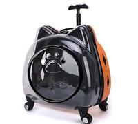 Sac de transport transparent à bulles pour animaux de compagnie avec roues et poignée pour petit chien ou chat, coque rigide transparente pour randonnée/camping/visites vétérinaires