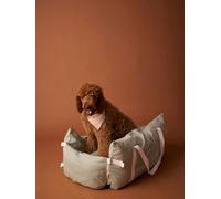 Sac de transport voiture 2 en 1 pour chien rayé vert TU