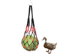 Sac en filet de nourriture pour poulet - Porte-fruits pour poulet suspendu | Easy Feeder Chicken Treat Outil d'alimentation, jouet pour poulailler, accessoires pour poulailler (21,26 x 3,15 x 1,57 Zo