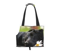 Sac fourre-Tout pour Animaux de Compagnie, Sac à Main Portable de Voyage pour Chien avec Boucle de sécurité en métal pour la randonnée en métro, Camomille Noire du Labrador Chiens Black Retriever
