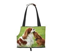 Sac fourre-Tout pour Animaux de Compagnie, Sac à Main Portable de Voyage pour Chien avec Boucle de sécurité en métal pour la randonnée en métro, Cavalier Roi Charles Spaniel