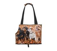 Sac fourre-Tout pour Animaux de Compagnie, Sac à Main Portable de Voyage pour Chien avec Boucle de sécurité en métal pour la randonnée en métro, Chiots d'automne Cavalier King Charles Spaniel