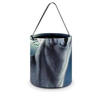 Sac fourre-tout réutilisable pour Halloween, balles de tennis sur terrain de tennis, sac à goûter portable pour cadeaux et courses, Loup sous la lune, Taille unique