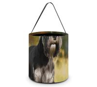 Sac fourre-tout réutilisable pour Halloween, motif tête de mort, rose rouge, sac à goûter portable pour cadeaux, shopping, Schnauzer Chien sur l'herbe, Taille unique
