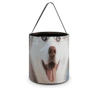 Sac fourre-tout réutilisable pour Halloween, sac à bonbons motif chien Husky Piquant Sac à goûter portable pour cadeaux shopping, Husky Piquant Dog, Taille unique
