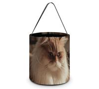 Sac fourre-tout réutilisable pour Halloween, sac à bonbons pour l'apprentissage des chats, sac à goûter portable pour cadeaux de shopping, Chat d'apprentissage, Taille unique