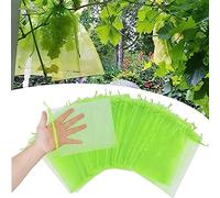 Sac Protection Fruits 50/100/200/500 Pièces, Sachet Protection Raisin Grappes Sac Organza avec Cordon,Sacs Filets Protection Jardin Filet Anti Insecte Contre Les Oiseaux et Insectes Guêpes Frelons ( C