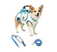 Sac Ventral pour Chien, Harnais de Transport Respirant, pour Excursion | Bandoulière Réglable, Conception Ergonomique, Maille Respirante, Pliable, Libère les Mains, pour Animaux