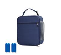 sacàdéjeunerisotherme pour femme - Grand sacàdéjeuneravec poignée, glacière de poche latérale en maille | Pour garder les boissons d'été au frais, sacàdéjeunerisolé pour femmes, grand sacàd