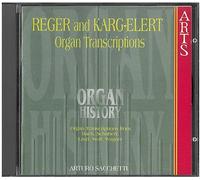 Sacchetti, Arturo - Organ History