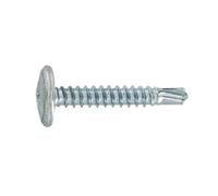 Sachet 19 vis tôle AUTOPC TC EMB 4,2x13 - VYNEX - 310178019841