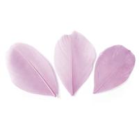 Sachet 3 Gr Plumes Coupees Rose Pale Ht.60