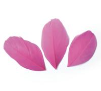 Plumes - Rose vif - 3g NA G