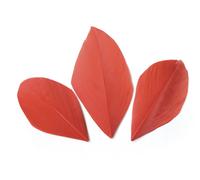 Plumes - Rouge - 3g NA G