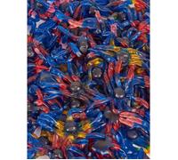 Trolli Bonbons Araignées Sachet 1 kg