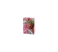 Sachet cadeau 'Bicycle'