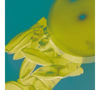 Sachet De 10 Ballons N 12 Rouge -