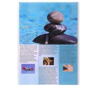 Sachet de 10 étuis de protection simples polypropylène 12/100e - A4 - Cristal