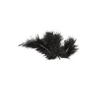 Sachet de 20 Plumes 10 cm
