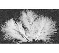 20 Plumes De Décoration Blanches 5,5 Cm