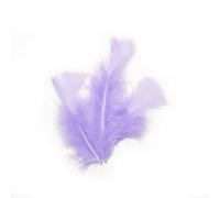 Sachet de 20 Plumes 10 cm