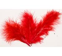 Sachet de 20 Plumes 10 cm