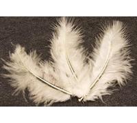 Sachet de 20 Plumes 10 cm